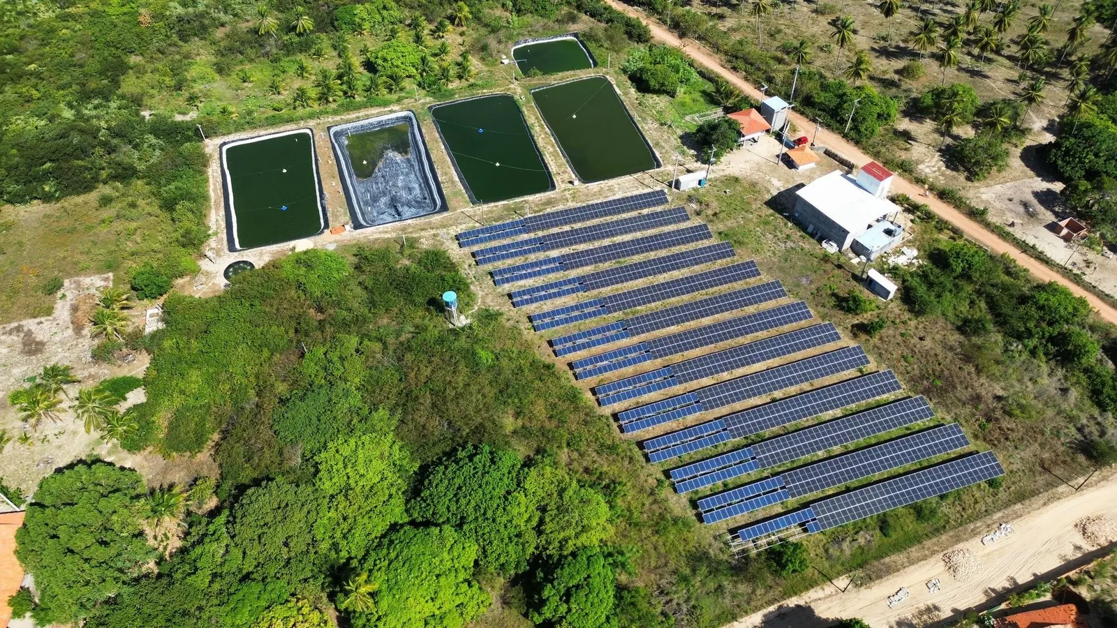 Usina solar do resort vista de cima